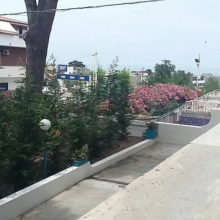 Degli Oleandri *